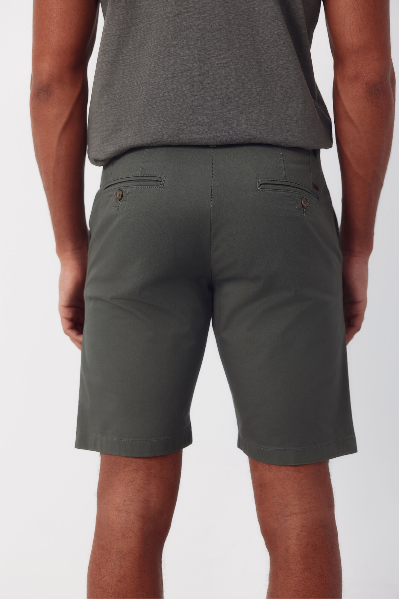 Bermuda thumbnail 3