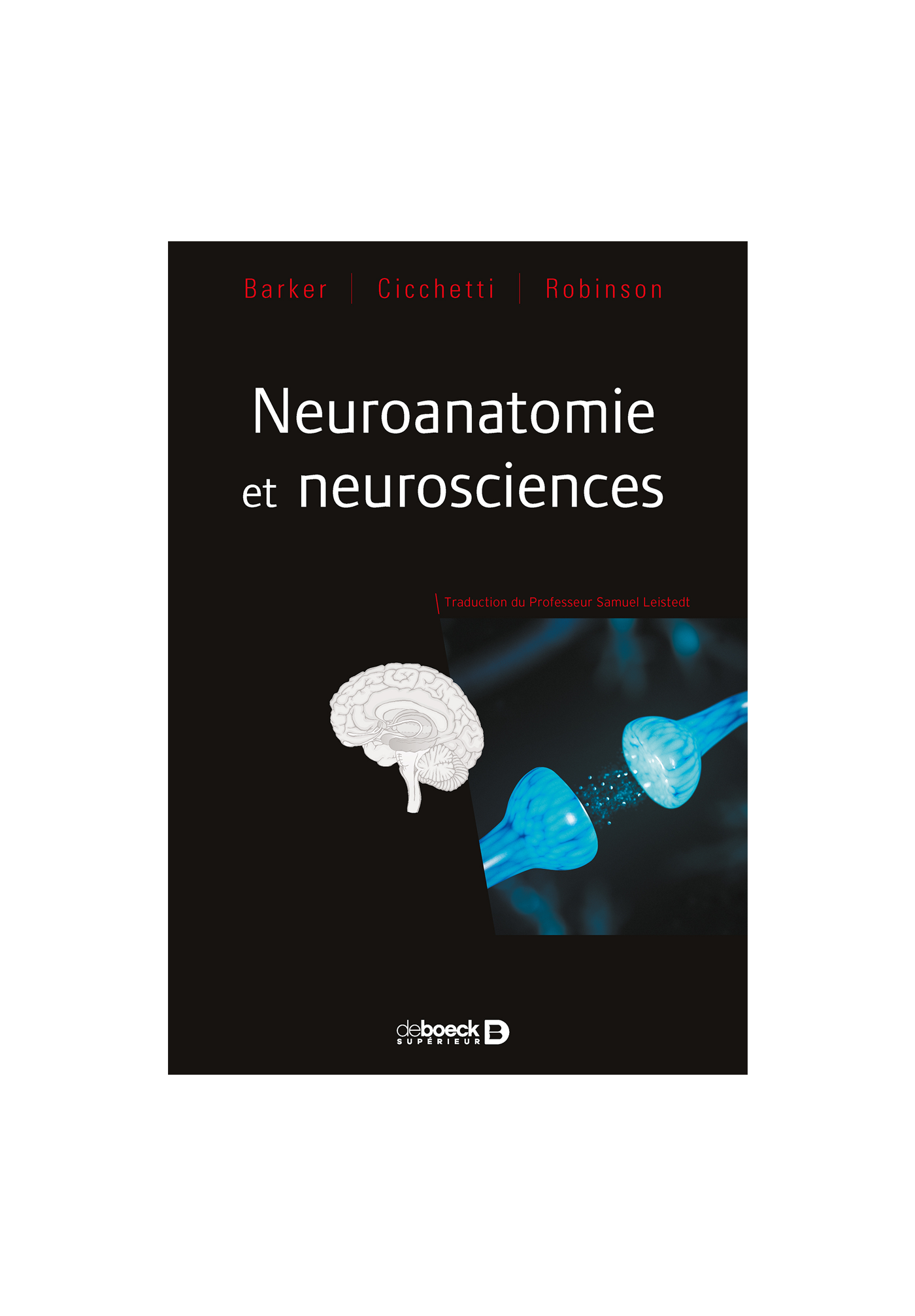 Neuronatomie Et Neurosciences