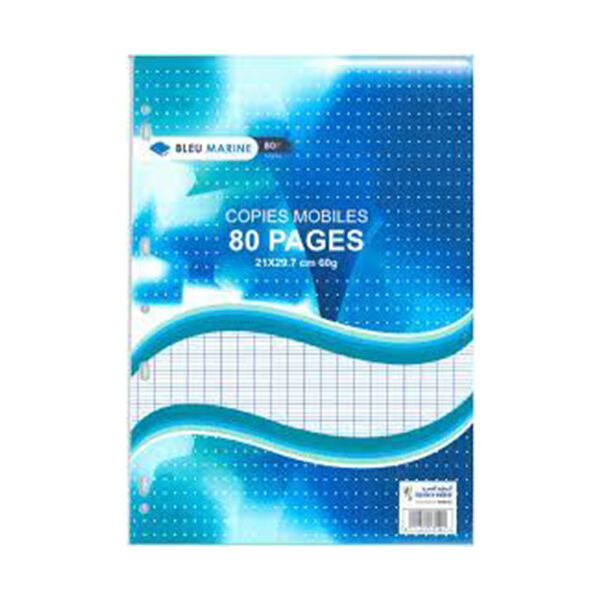 Recharges Simples 90p Grands Carreaux Grand Format A4 