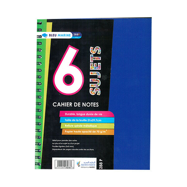 Cahier De 6 Spirale Petits Carreaux Grand Format A4 