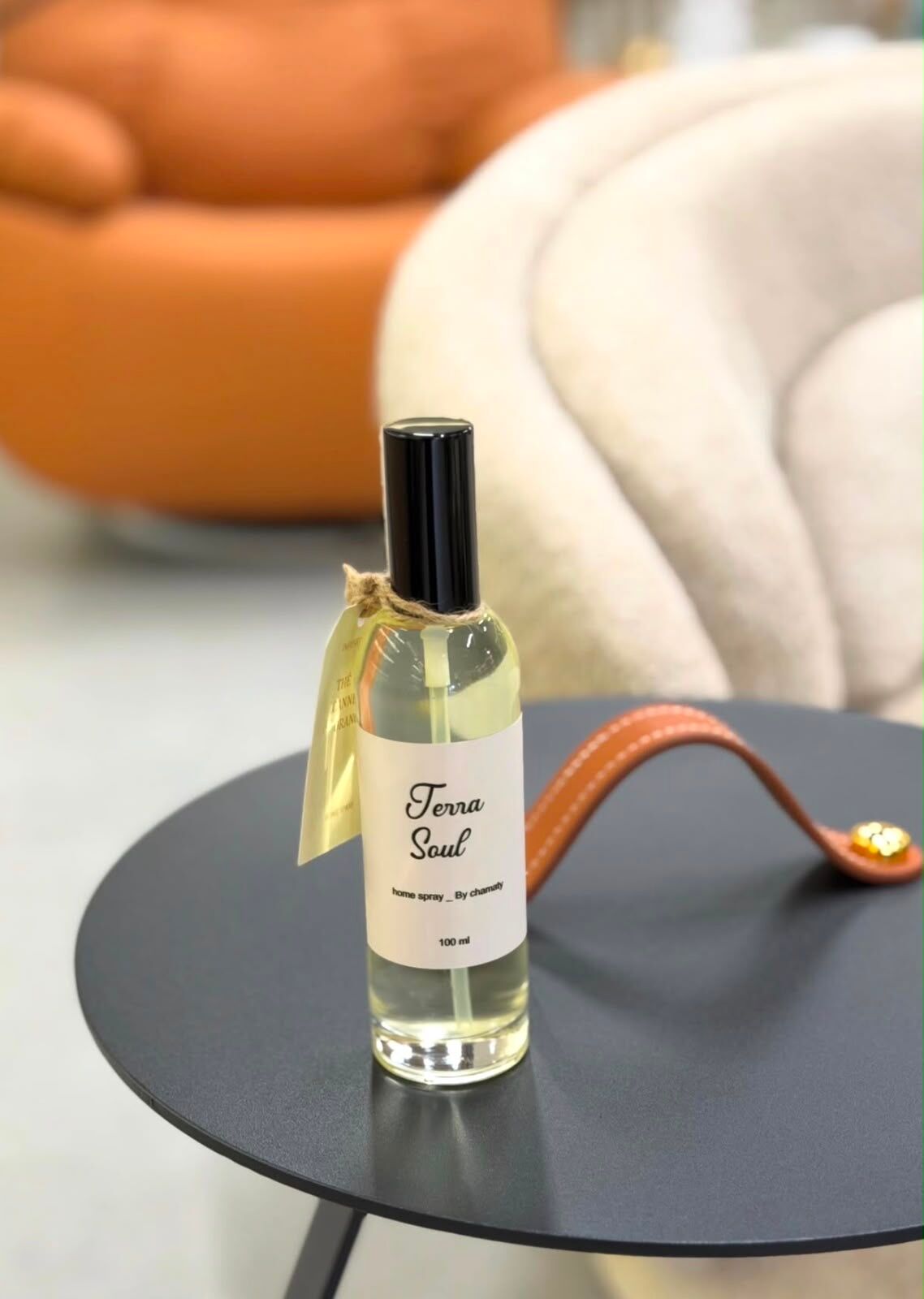 Home Spray - Terra Soul