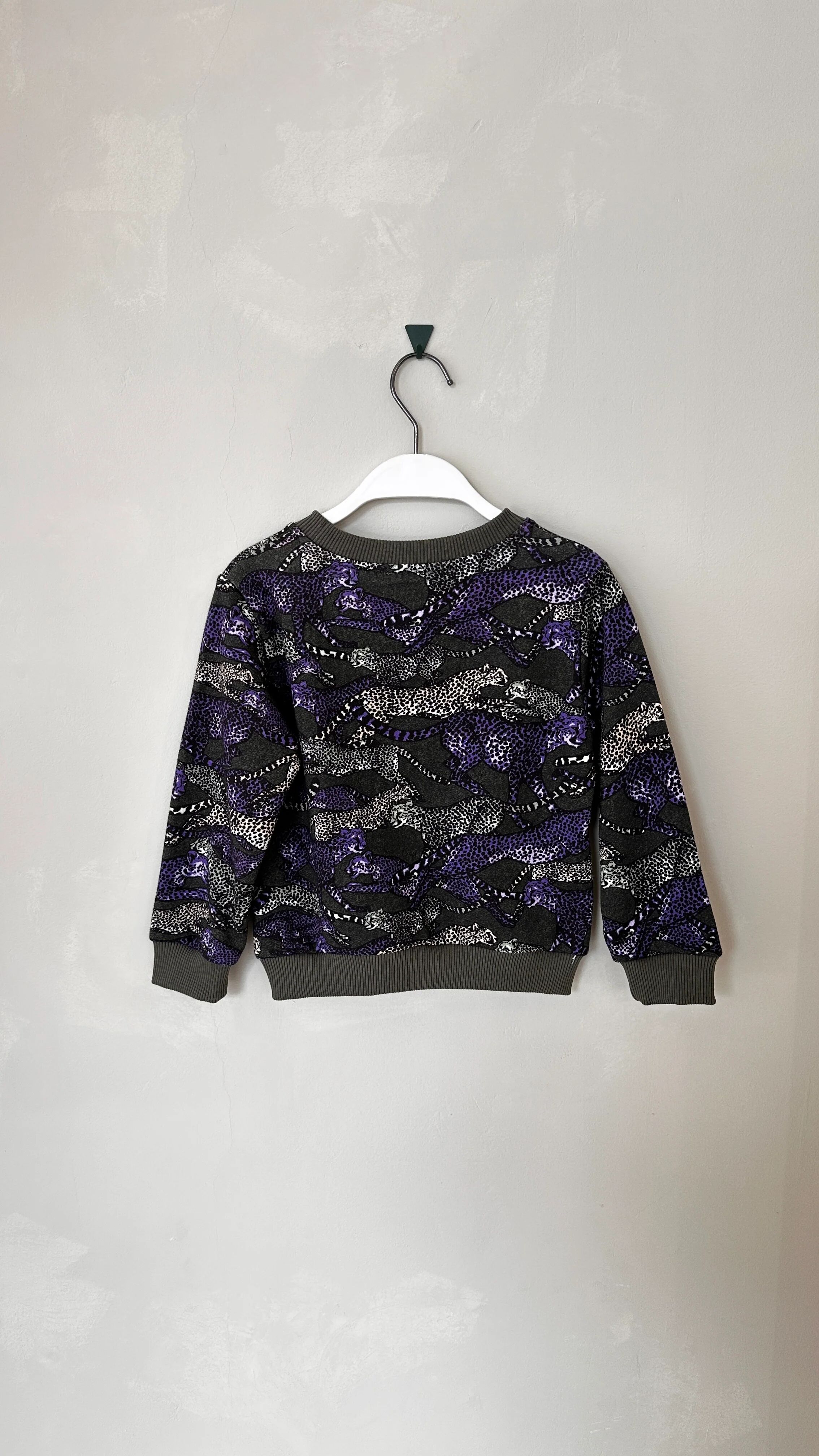 Sweat-shirt À Capuche Leo thumbnail 1