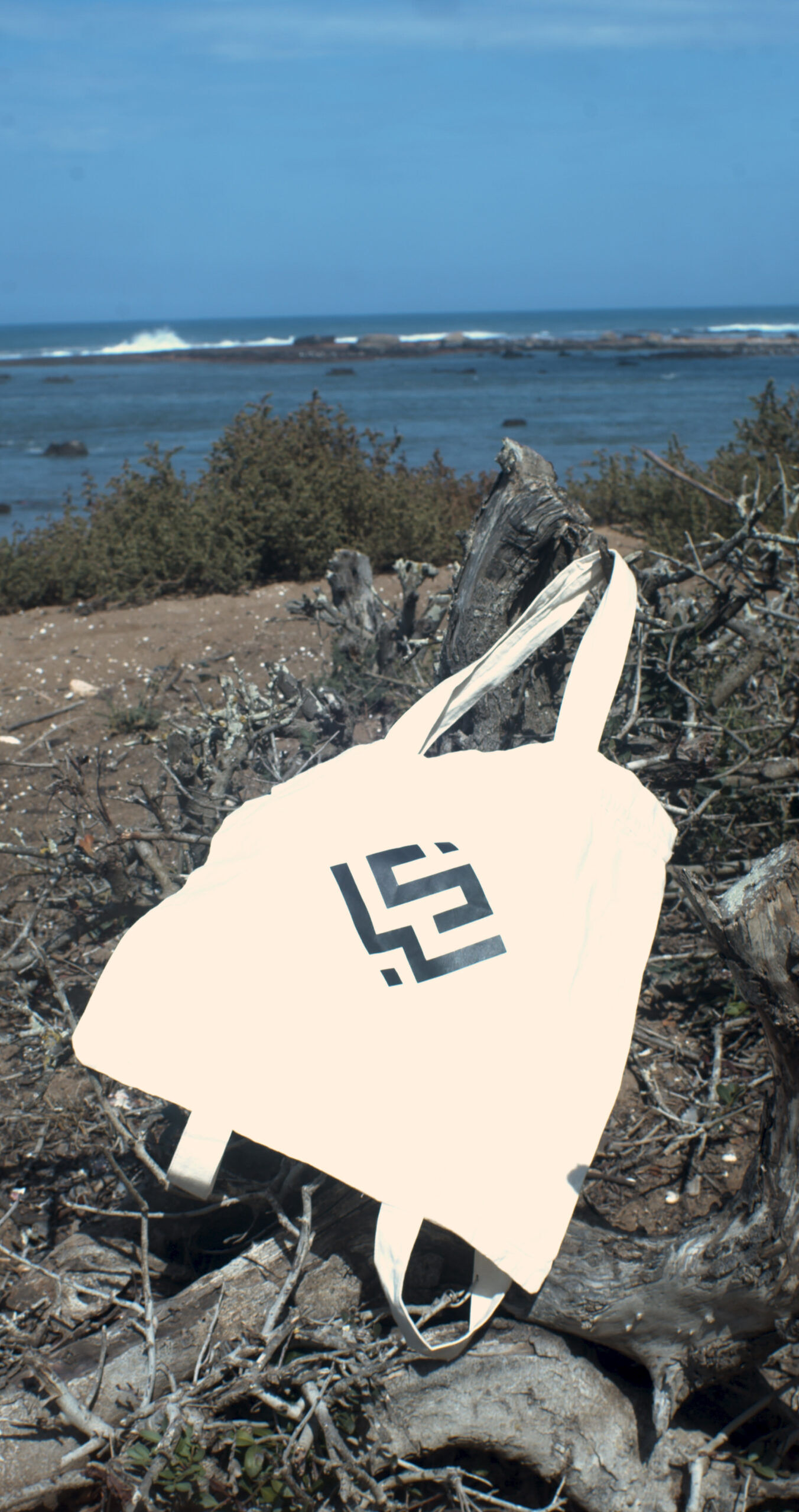 Metamorph Tote