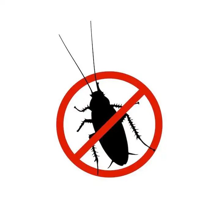 Poudre Appât Efficace, Insecticide Spécial, Anti-cafards Lot De 6