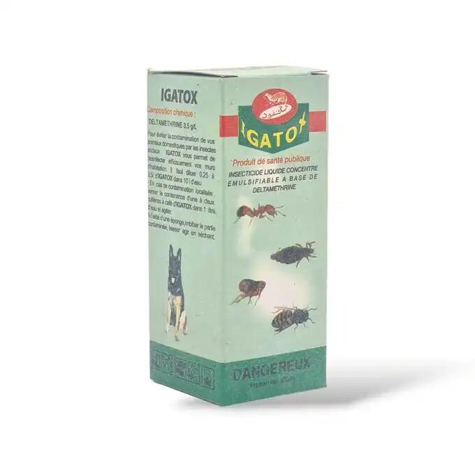 Solution Efficace Contre Les Insectes Pour Chiens thumbnail 1