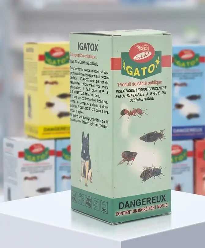 Solution Efficace Contre Les Insectes Pour Chiens thumbnail 2