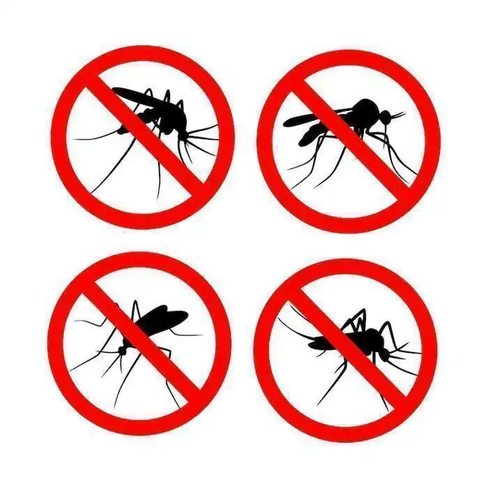 Insecticide Action Rapide Insectes Volants Et Rampants thumbnail 3