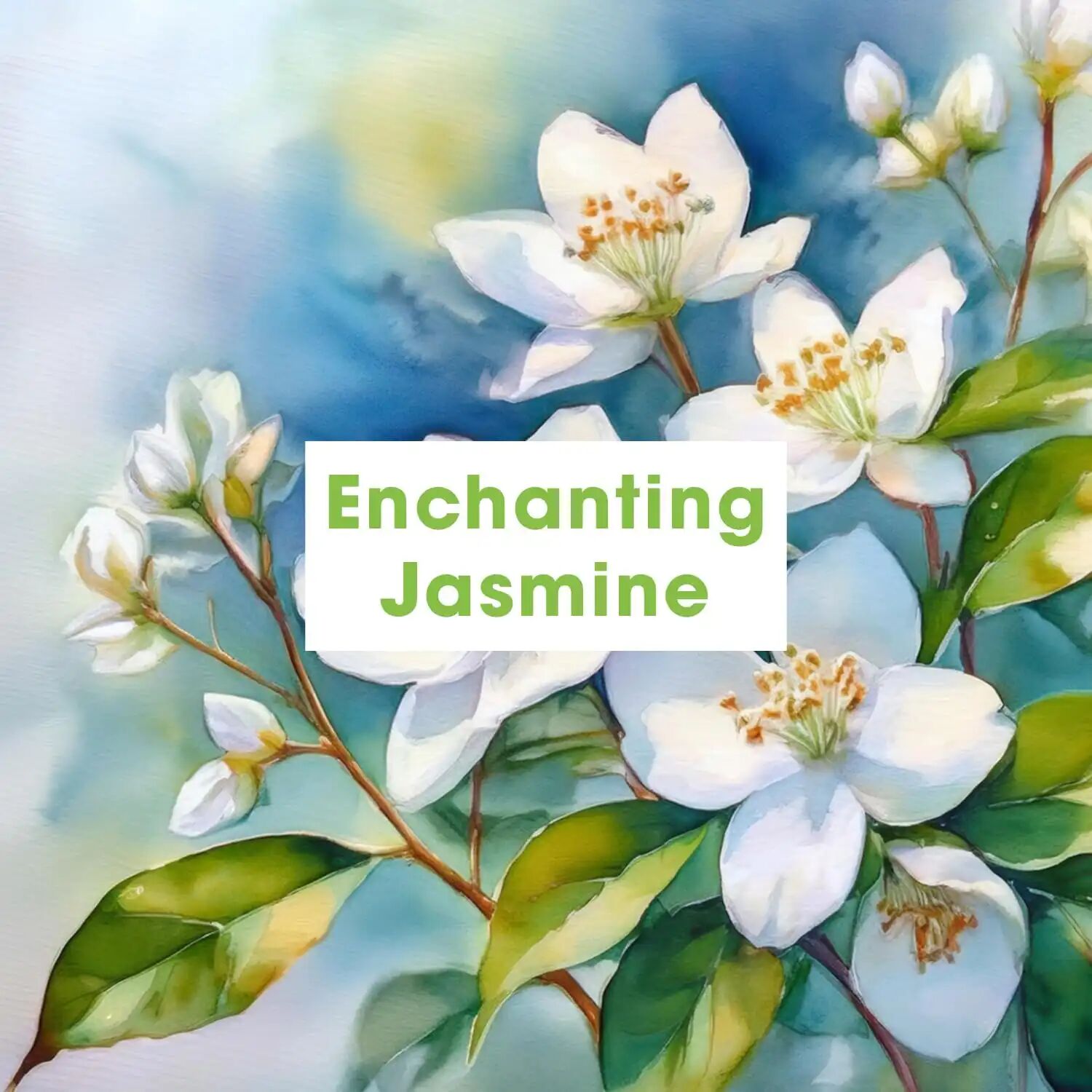  Automatic Air Freshener Refill Spray - Enchanting Jasmine 