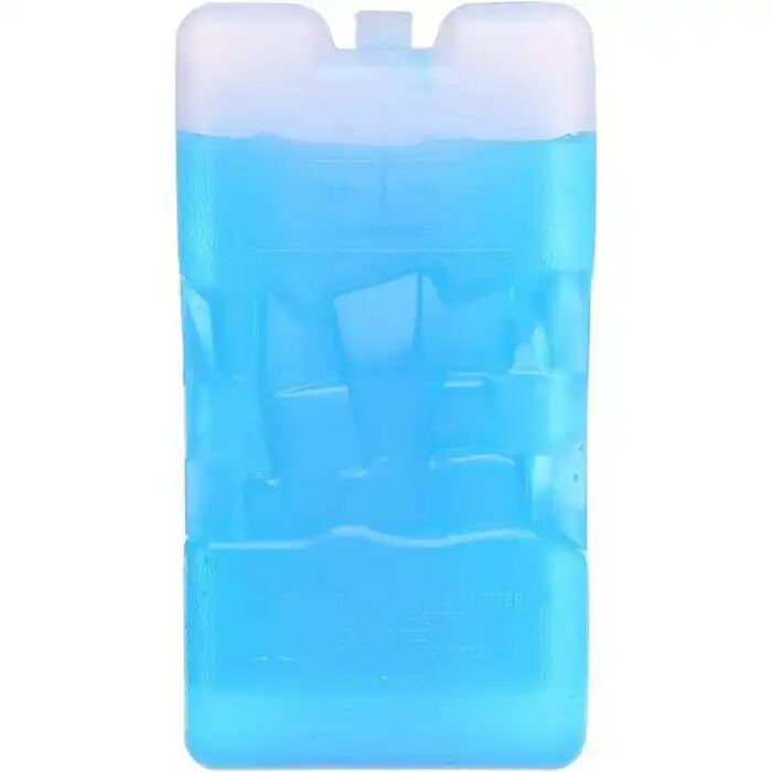Lot De 2 Accumulateur De Froid 400 G - Blocs Réfrigérants (2 Pièces)