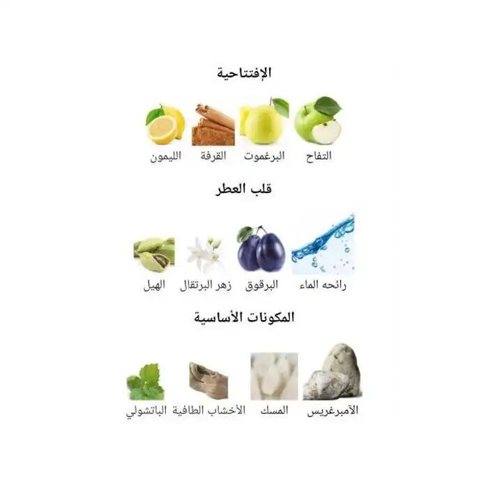 Parfum - Edp - Homme - Notes Aquatiques - Bouteille Chic thumbnail 3