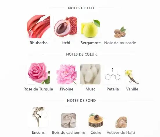 Anfar Rosella Pour Femme 1950, Extrait De Parfum, Litchi, Rhubarbe, Bergamote Et Muscade 100 Ml