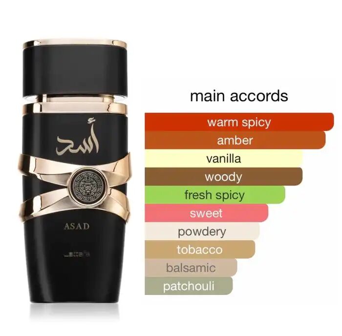 Asad Eau De Parfum 100 Ml Homme