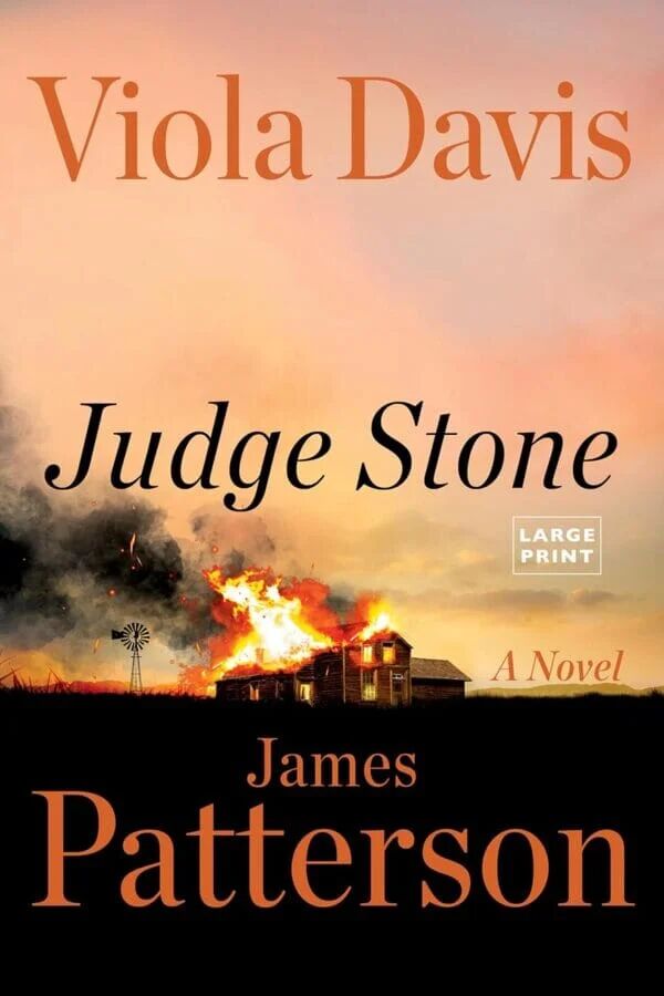 Judge Stone: A Novel