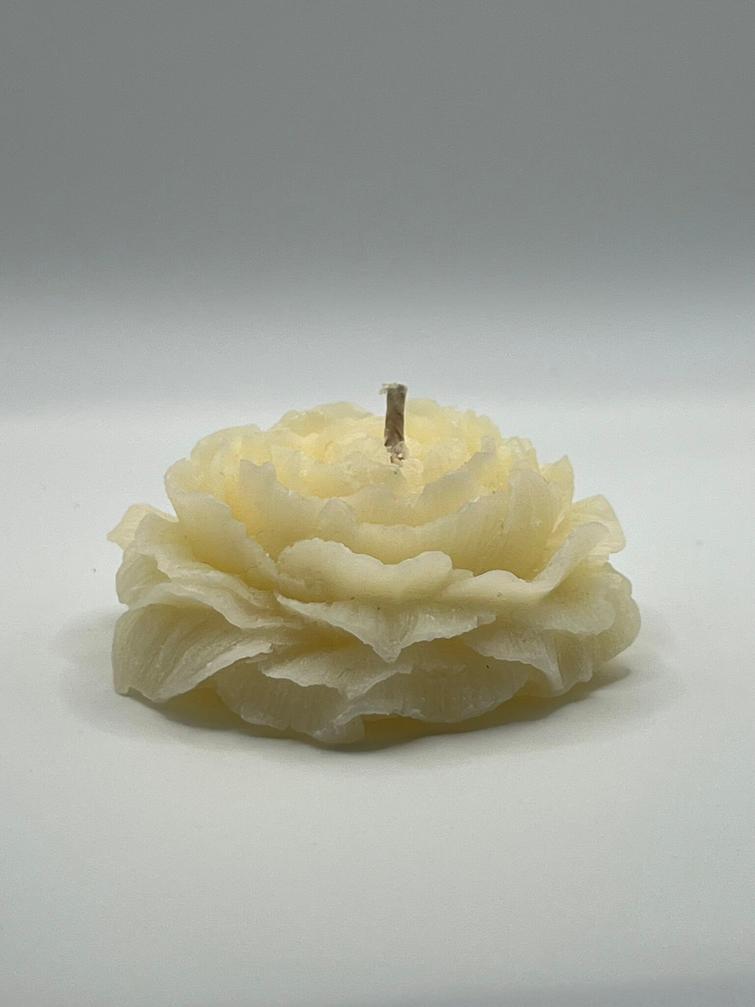 Bougie Rose