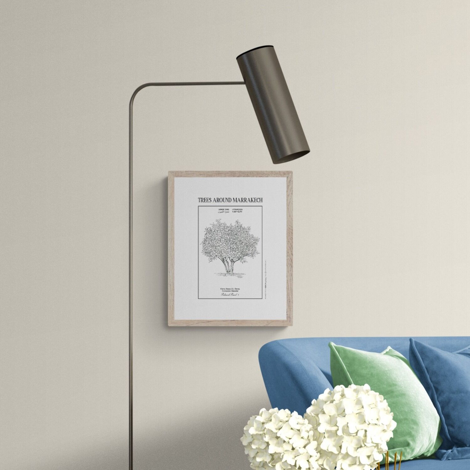 Affiche planche botanique CITRONNIER