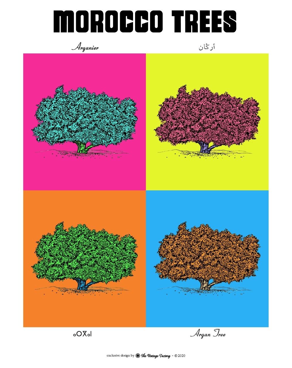 Affiche planche botanique ARGANIER version POP