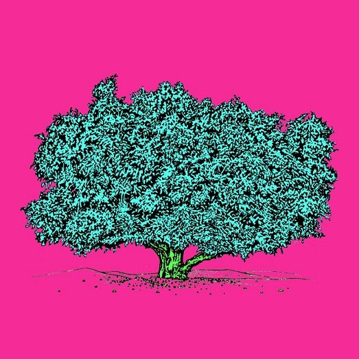 Affiche planche botanique ARGANIER version POP thumbnail 4