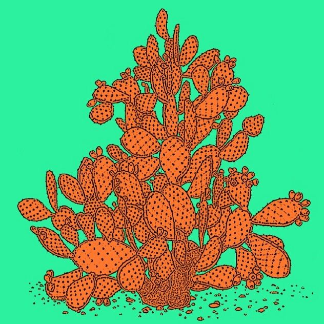 Affiche planche botanique CACTUS version POP thumbnail 3