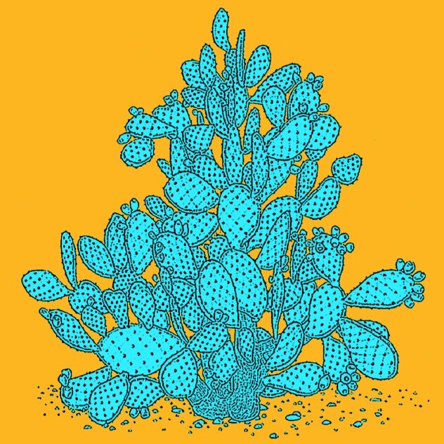 Affiche planche botanique CACTUS version POP thumbnail 4