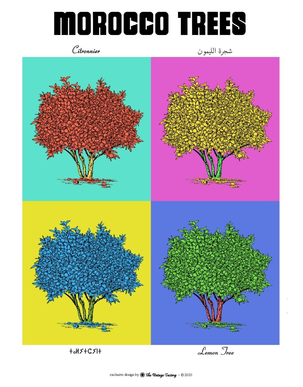 Affiche planche botanique CITRONNIER version POP thumbnail 2