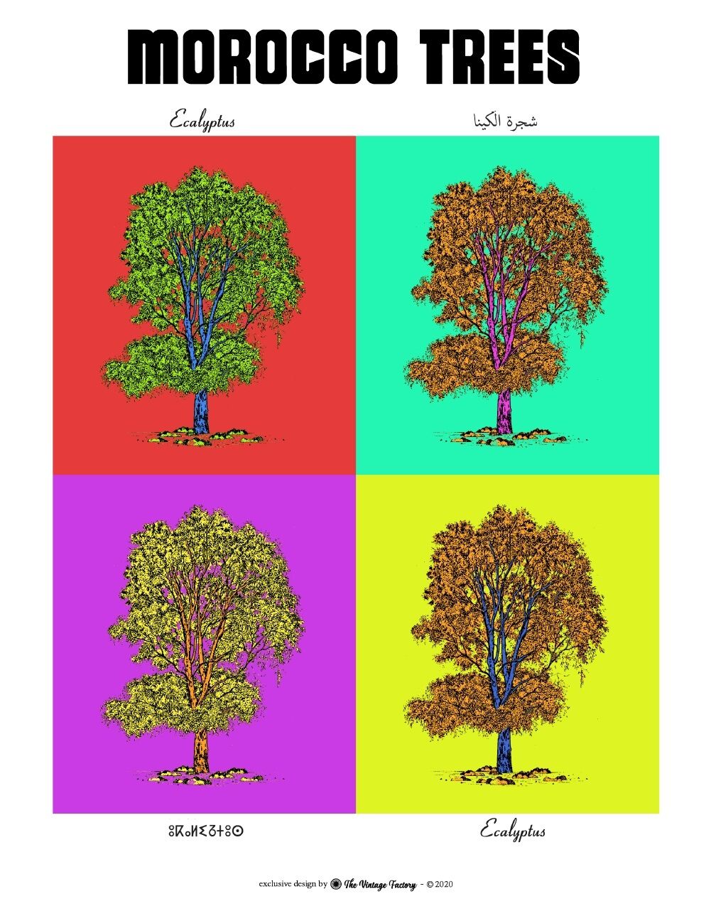 Affiche planche botanique EUCALYPTUS version POP thumbnail 2