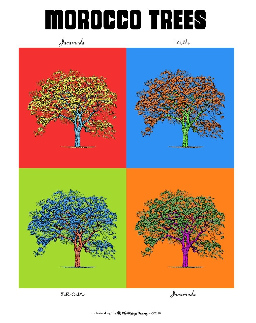 Affiche planche botanique JACARANDA version POP