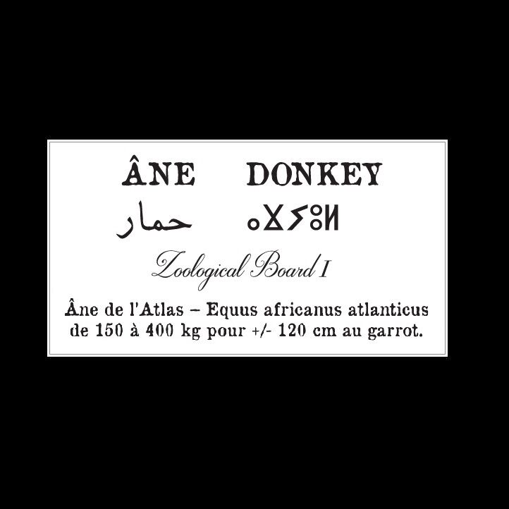 Affiche de la planche zoologique ANE thumbnail 4