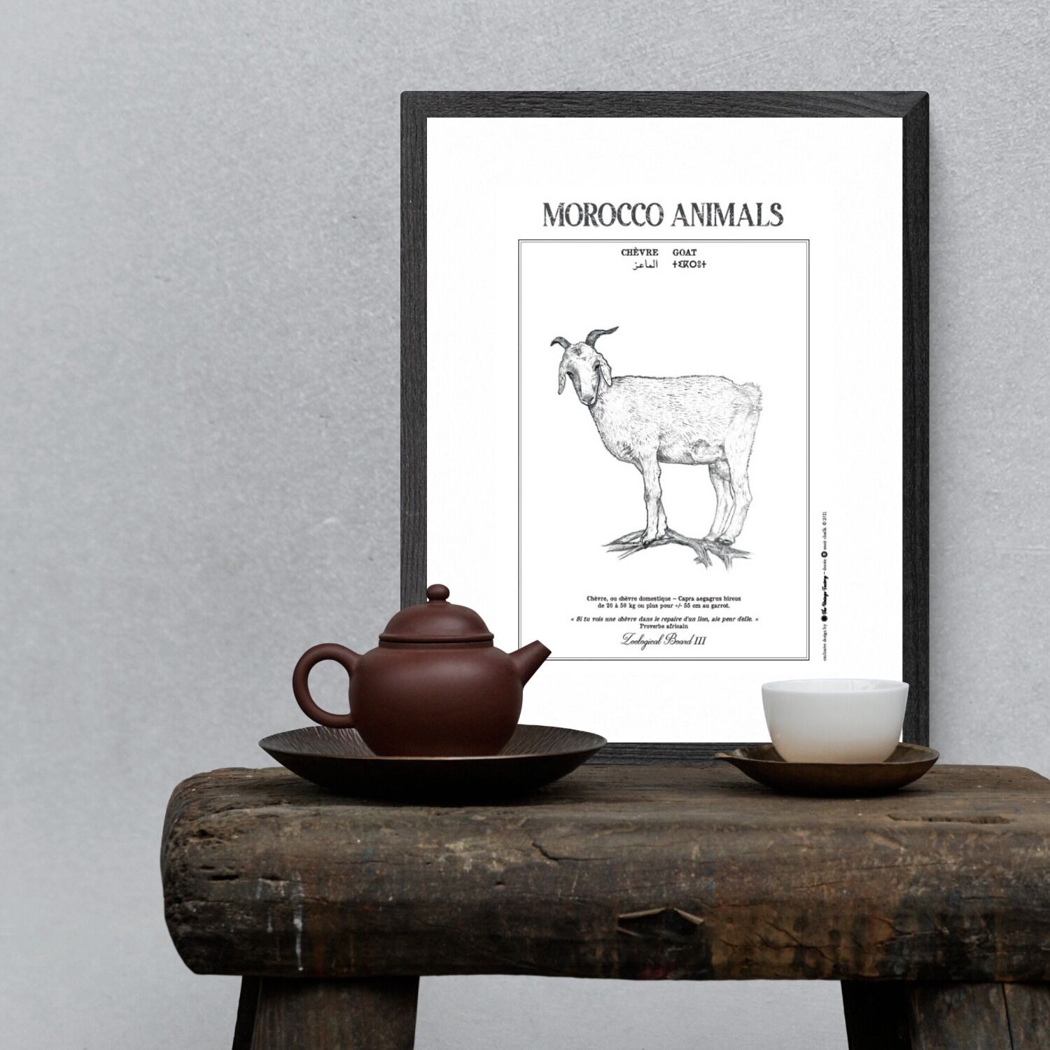 Affiche de la planche zoologique CHEVRE thumbnail 1