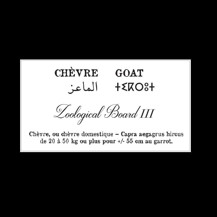 Affiche de la planche zoologique CHEVRE thumbnail 4