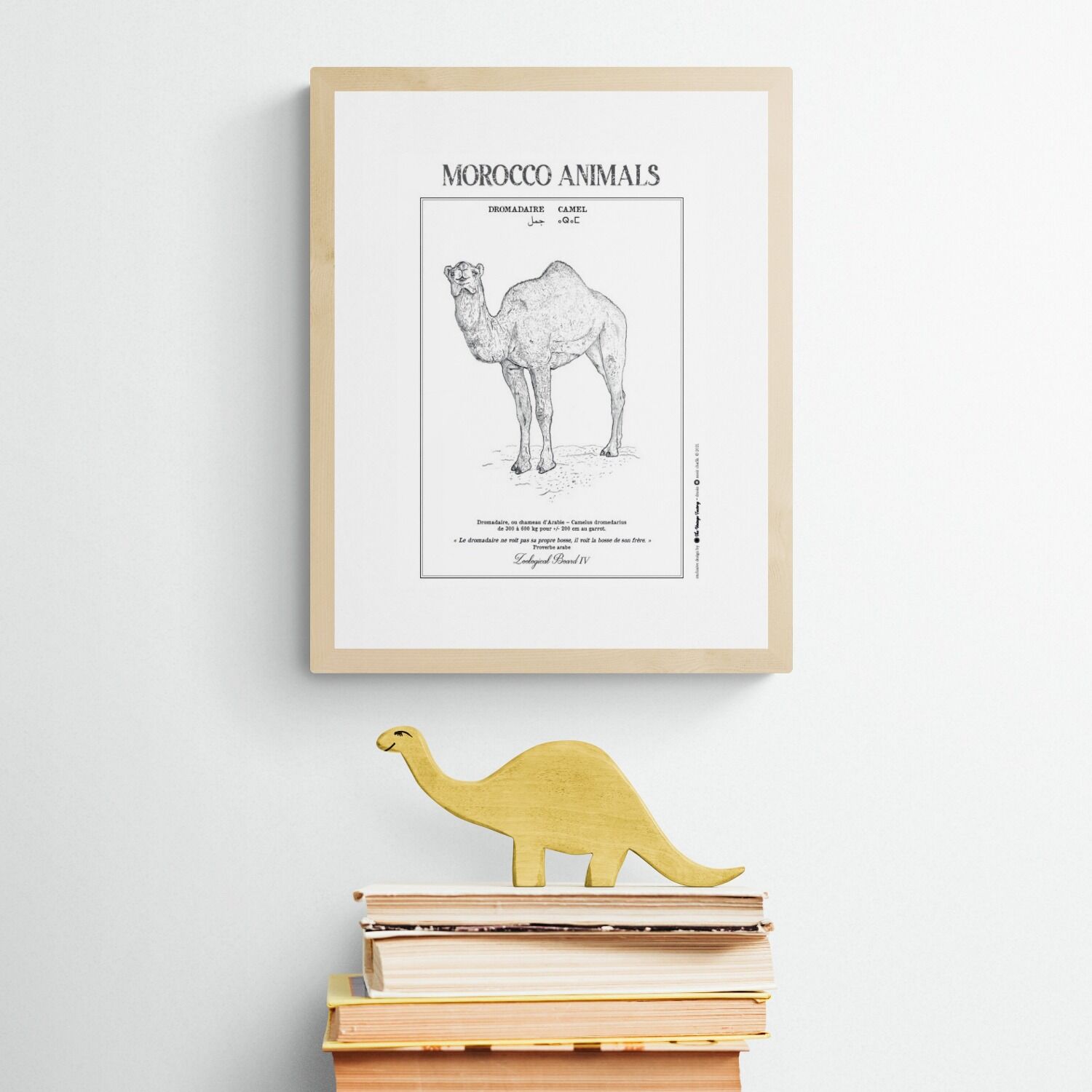 Affiche de la planche zoologique DROMADAIRE