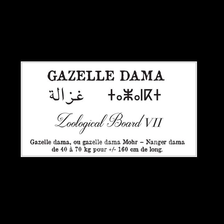 Affiche de la planche zoologique GAZELLE DAMA thumbnail 4