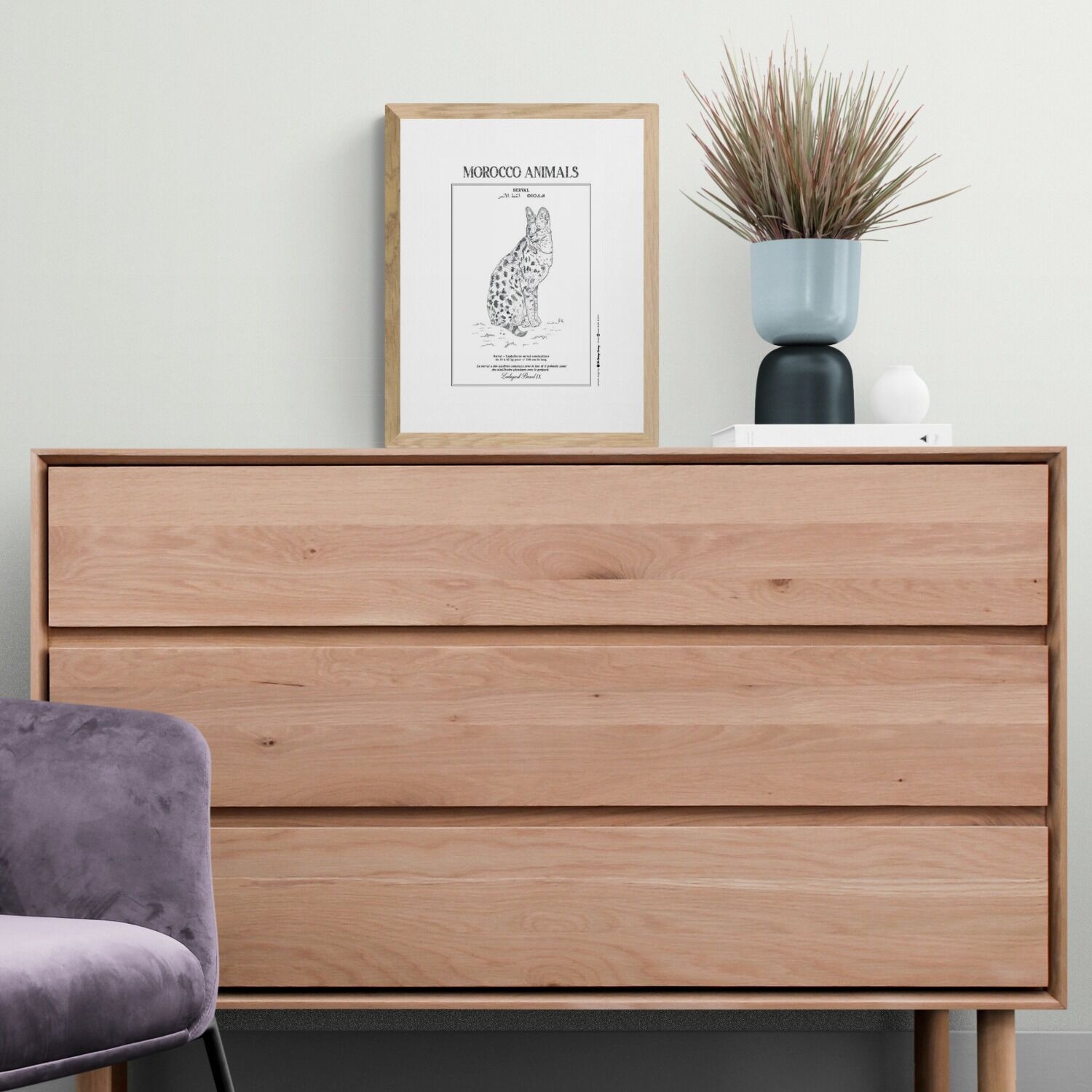 Affiche de la planche zoologique SERVAL