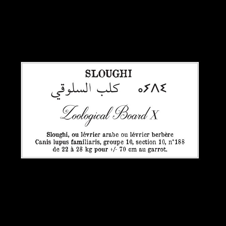 Affiche de la planche zoologique SLOUGHI thumbnail 5