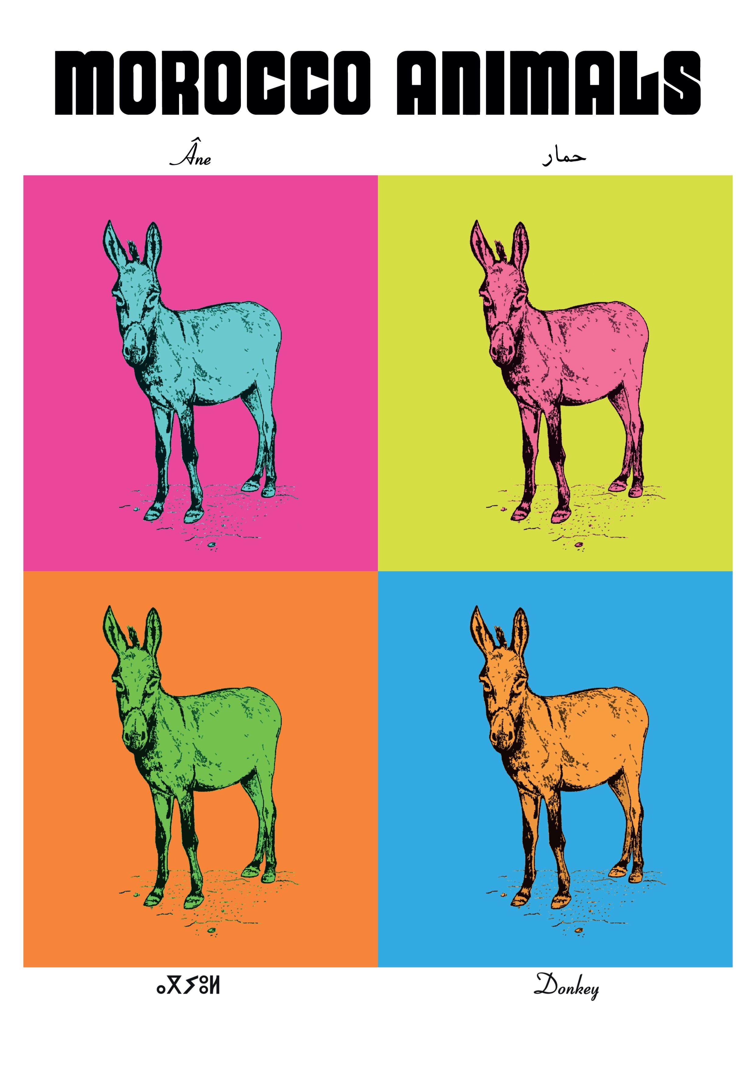 Affiche de la planche zoologique ANE version POP