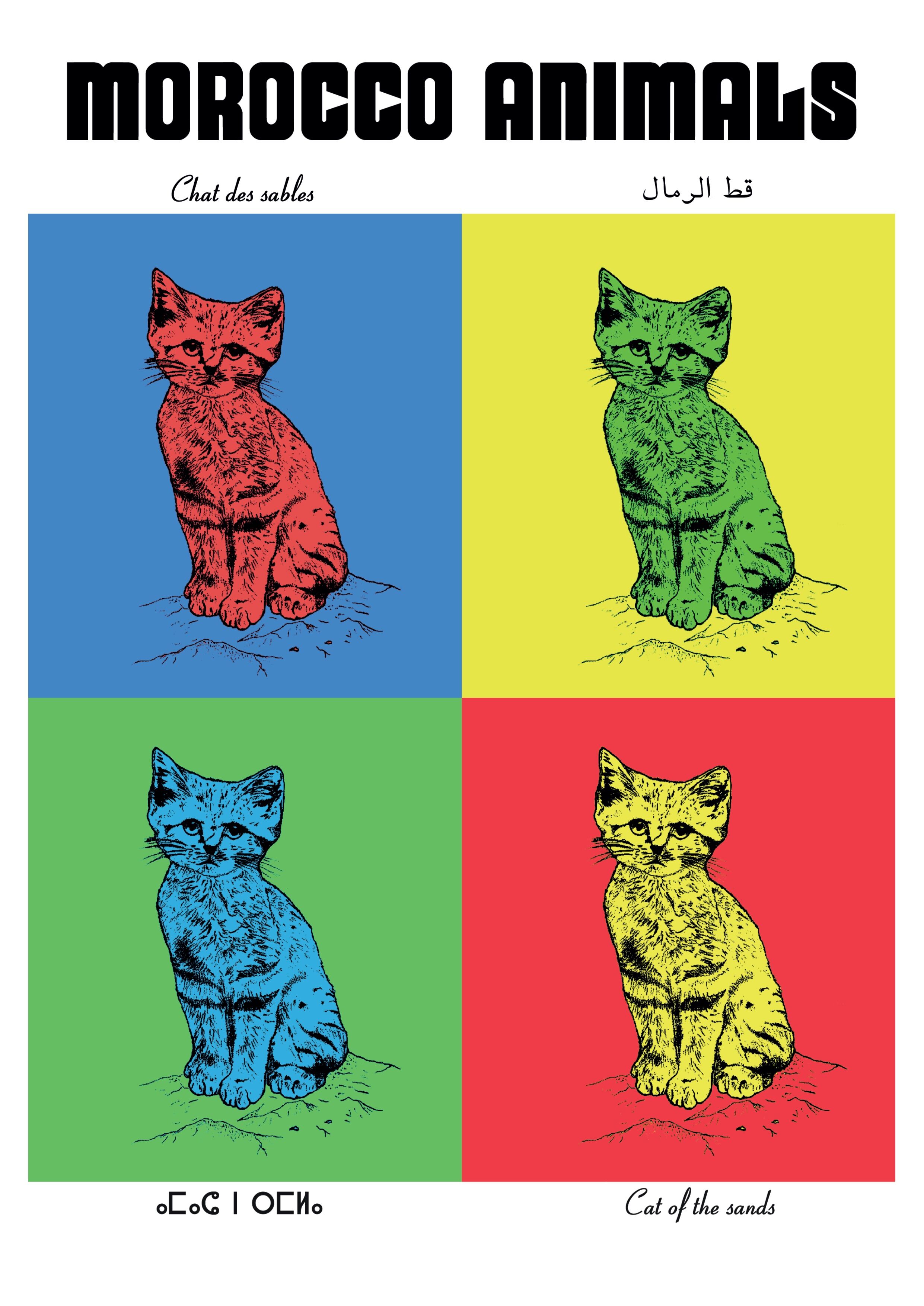 Affiche de la planche zoologique CHAT des SABLES version POP