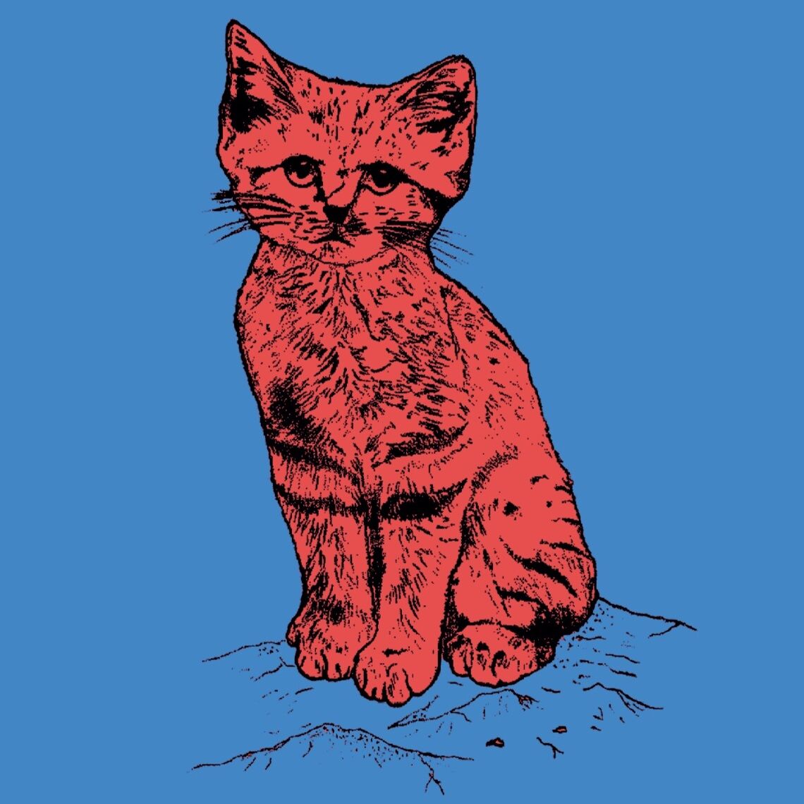 Affiche de la planche zoologique CHAT des SABLES version POP thumbnail 4