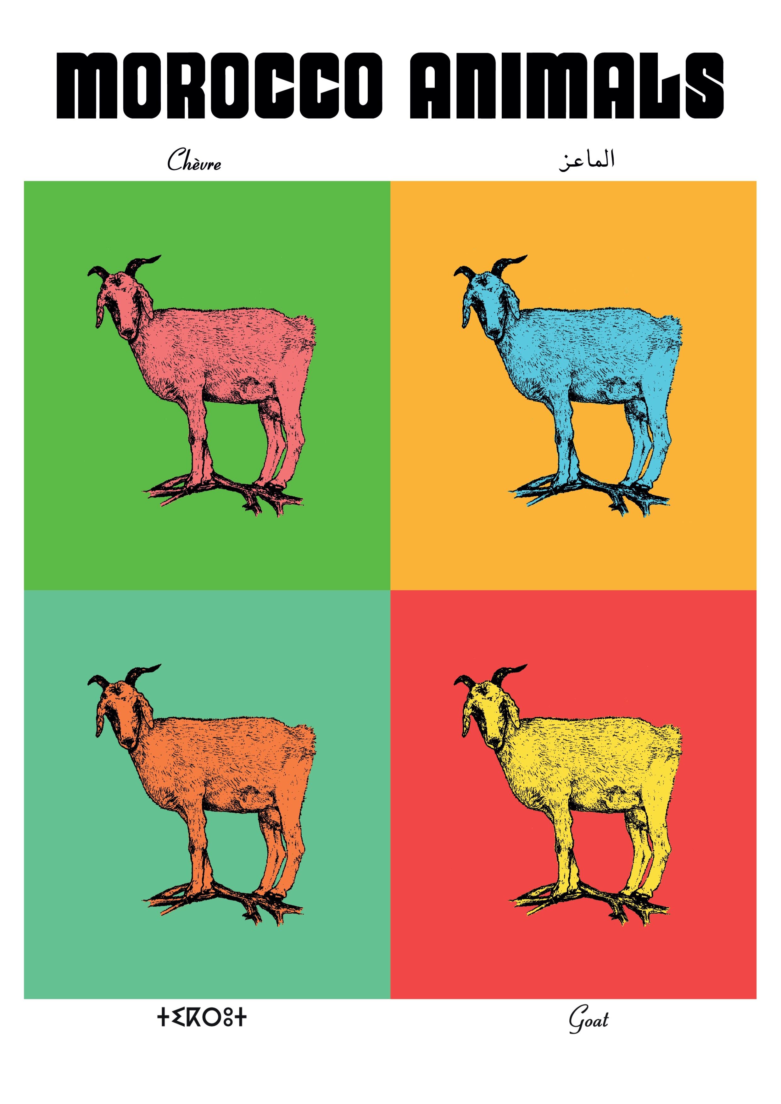 Affiche de la planche zoologique CHEVRE version POP