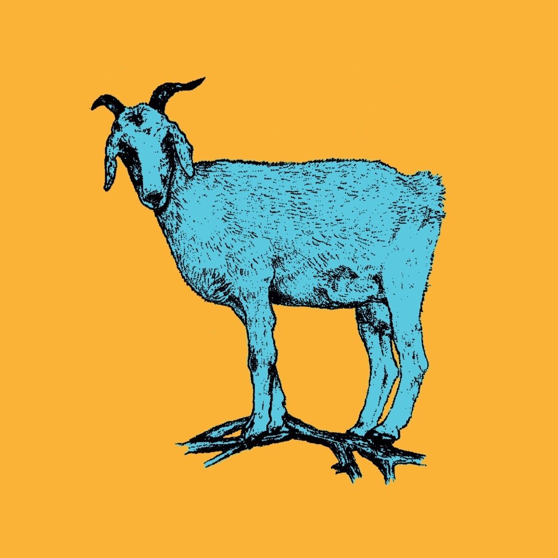 Affiche de la planche zoologique CHEVRE version POP thumbnail 3