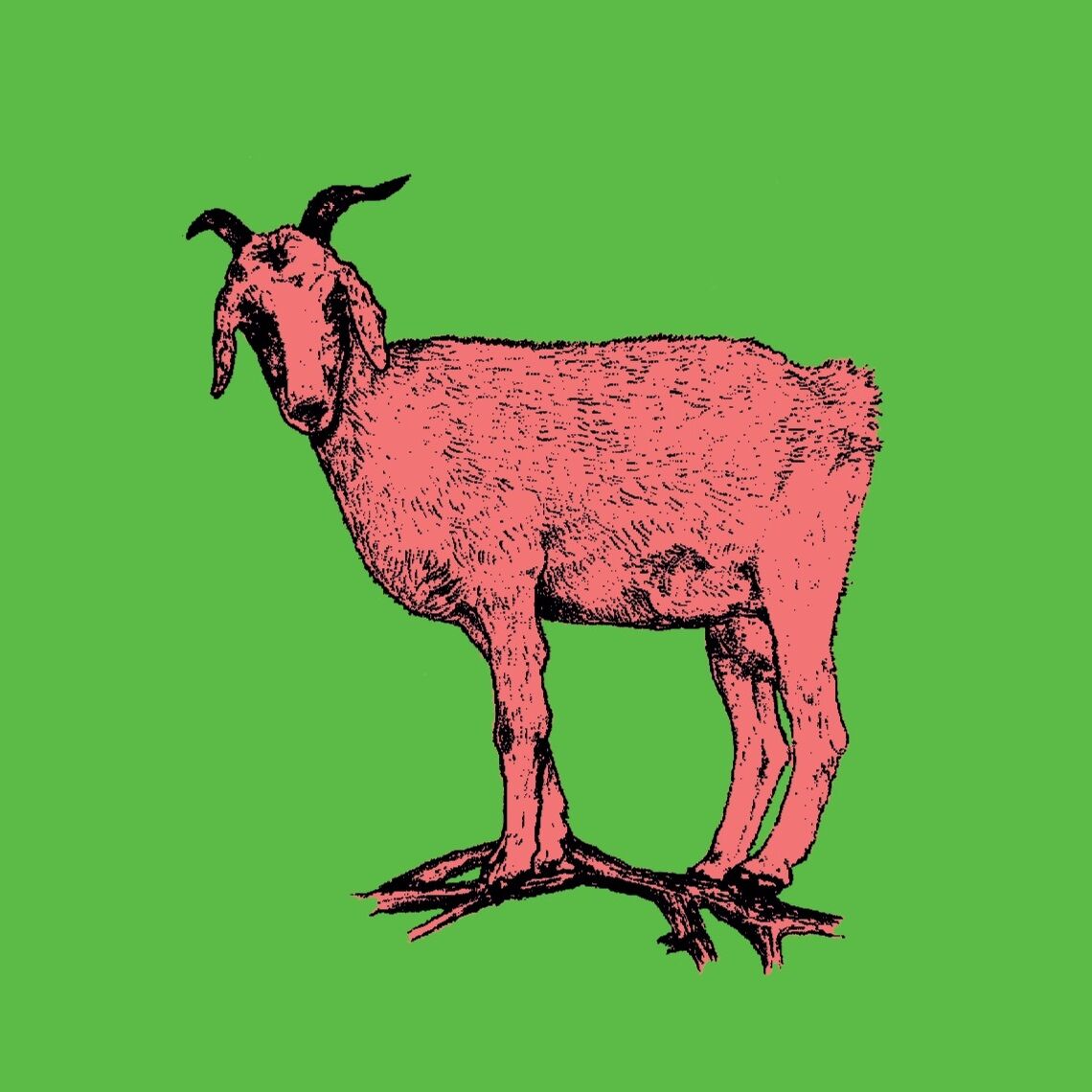 Affiche de la planche zoologique CHEVRE version POP thumbnail 4