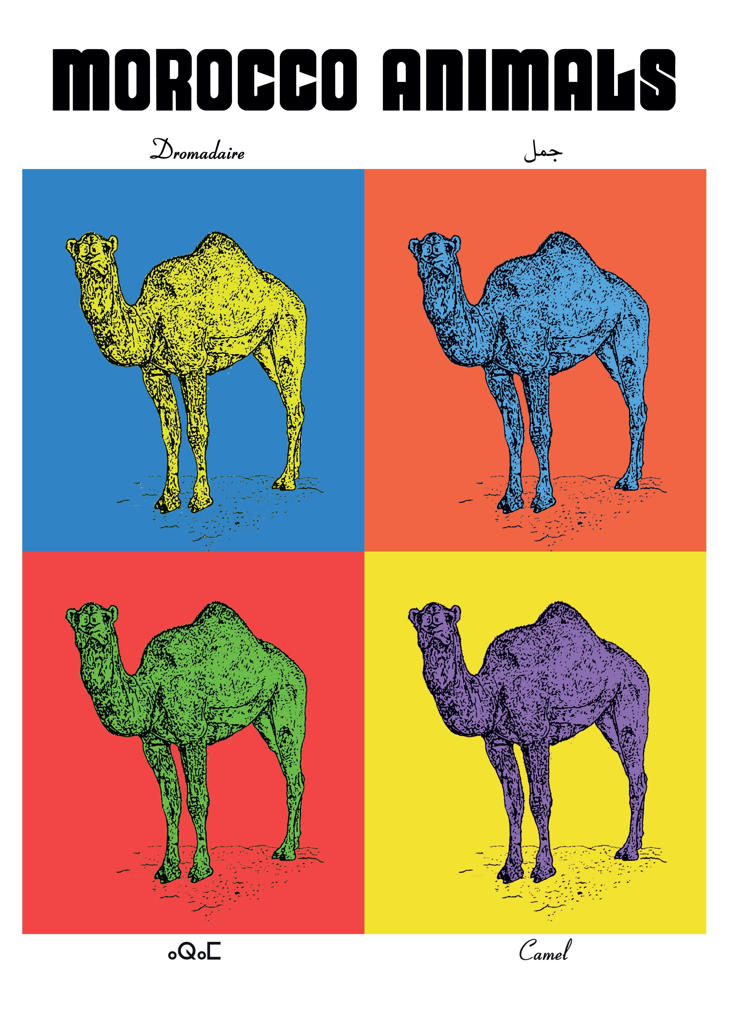 Affiche de la planche zoologique DROMADAIRE version POP