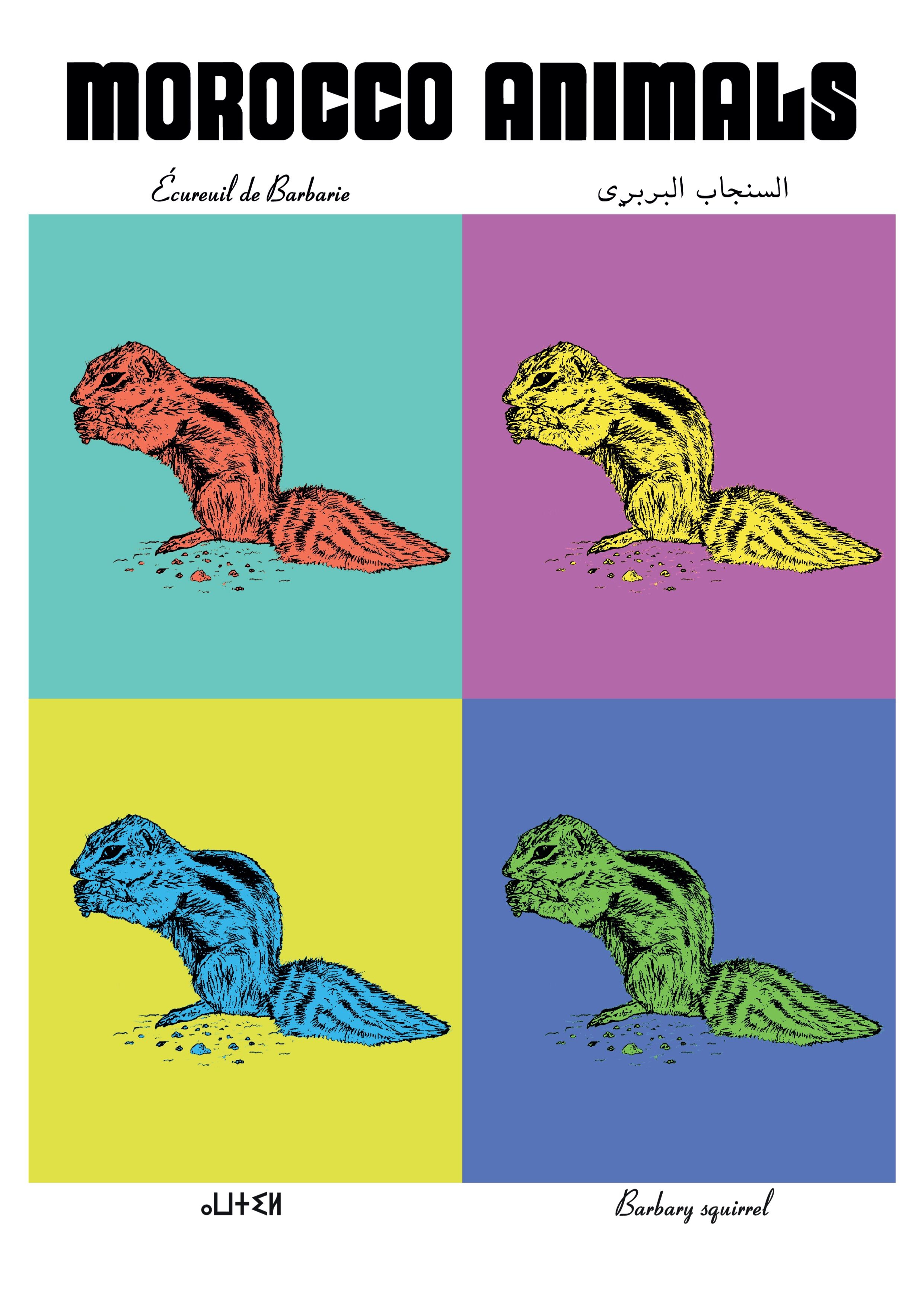 Affiche de la planche zoologique ECUREUIL de BARBARIE version POP thumbnail 2