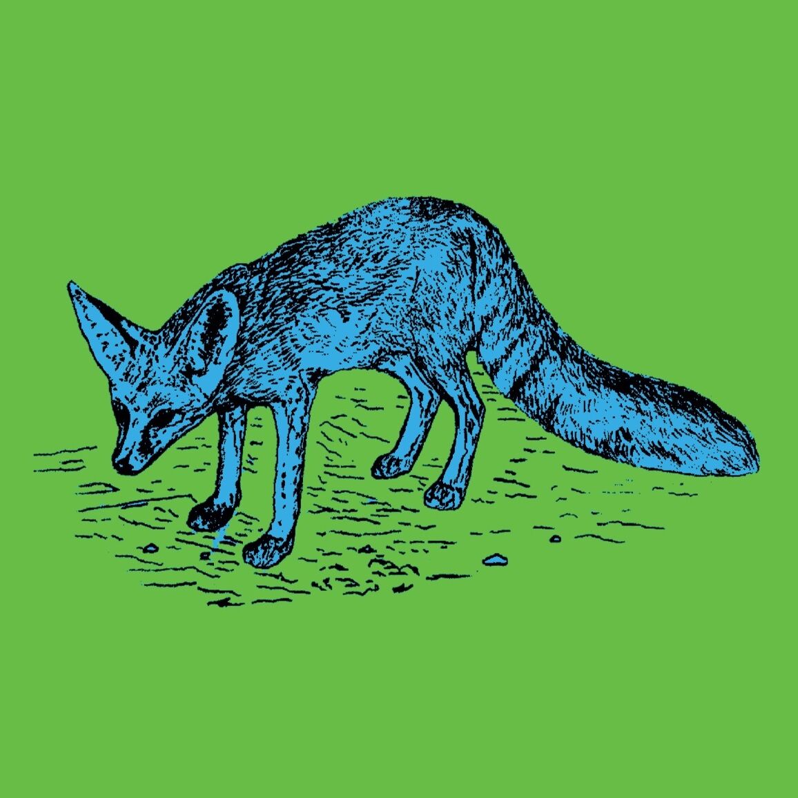 Affiche de la planche zoologique FENNEC version POP thumbnail 4