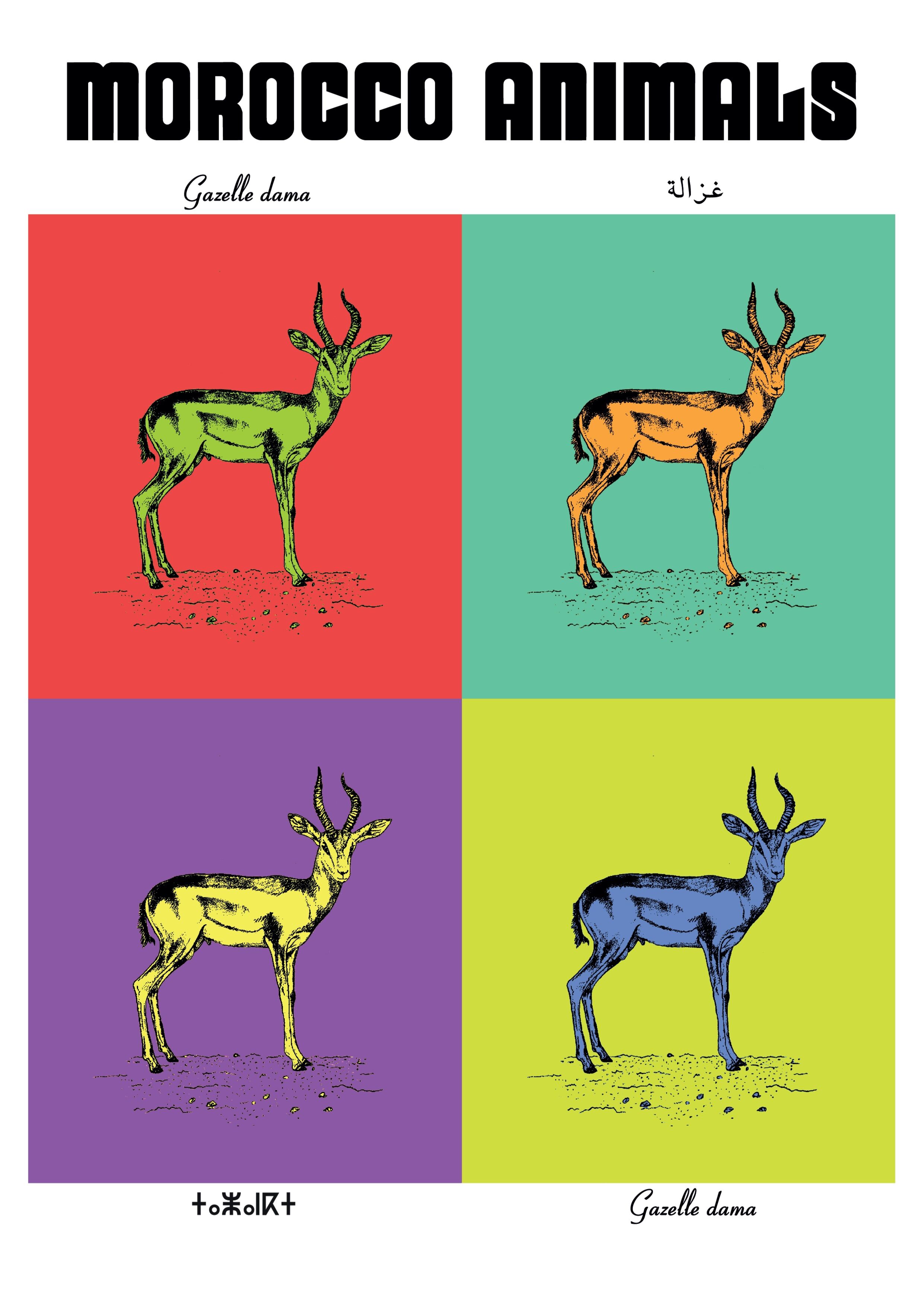 Affiche de la planche zoologique GAZELLE DAMA version POP