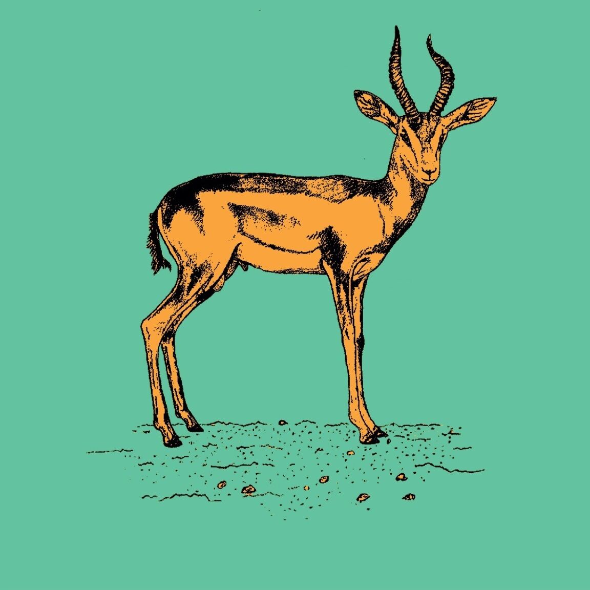 Affiche de la planche zoologique GAZELLE DAMA version POP thumbnail 3