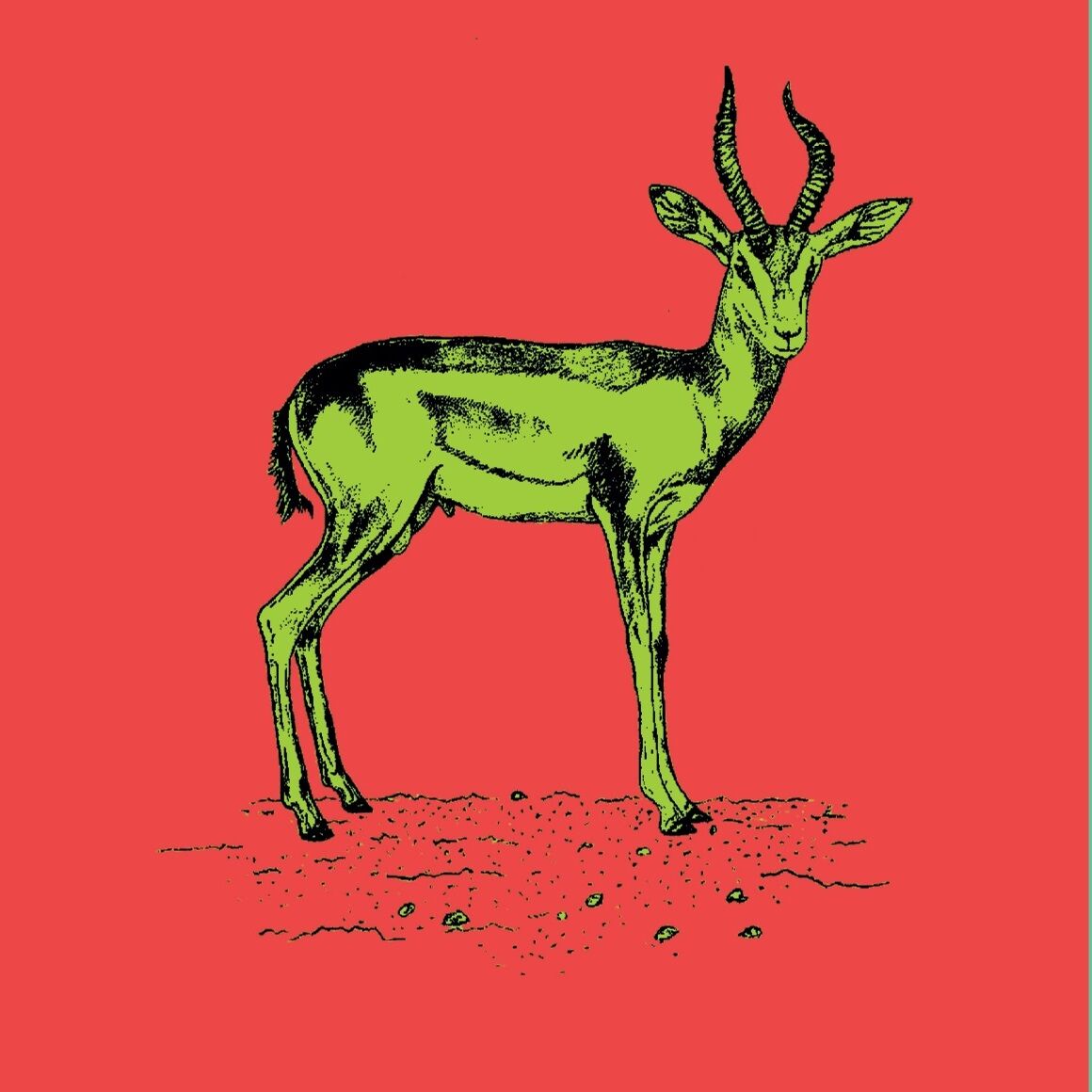 Affiche de la planche zoologique GAZELLE DAMA version POP thumbnail 4