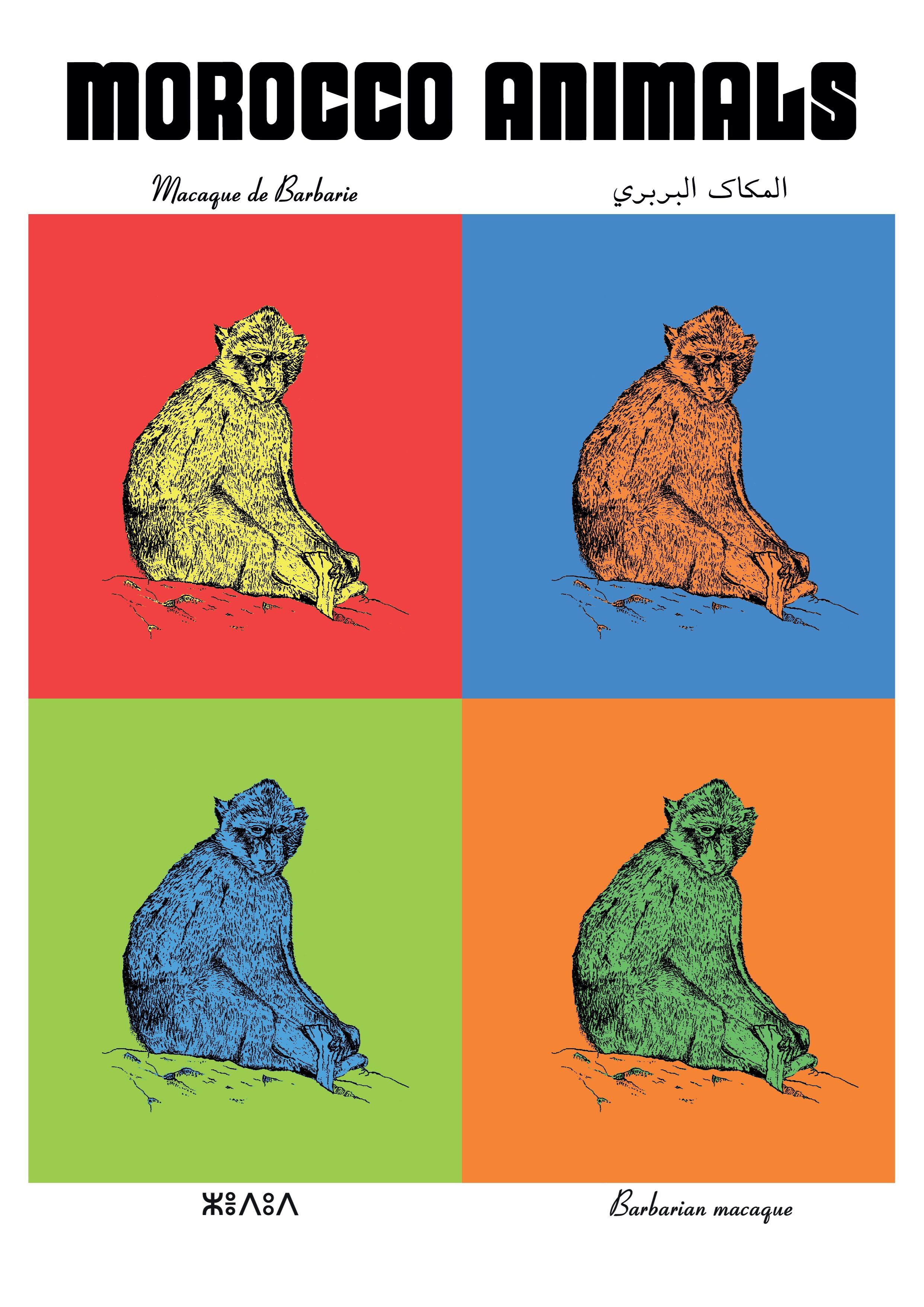 Affiche de la planche zoologique MACAQUE de BARBARIE version POP