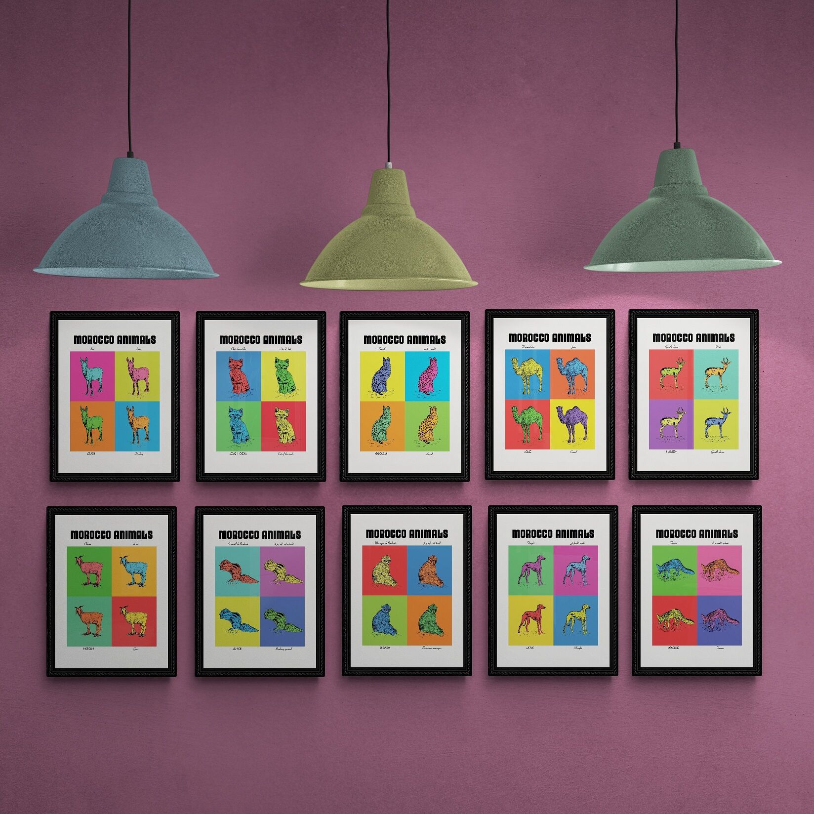 Collection intégrale des 10 affiches des planches zoologiques version POP en format A4