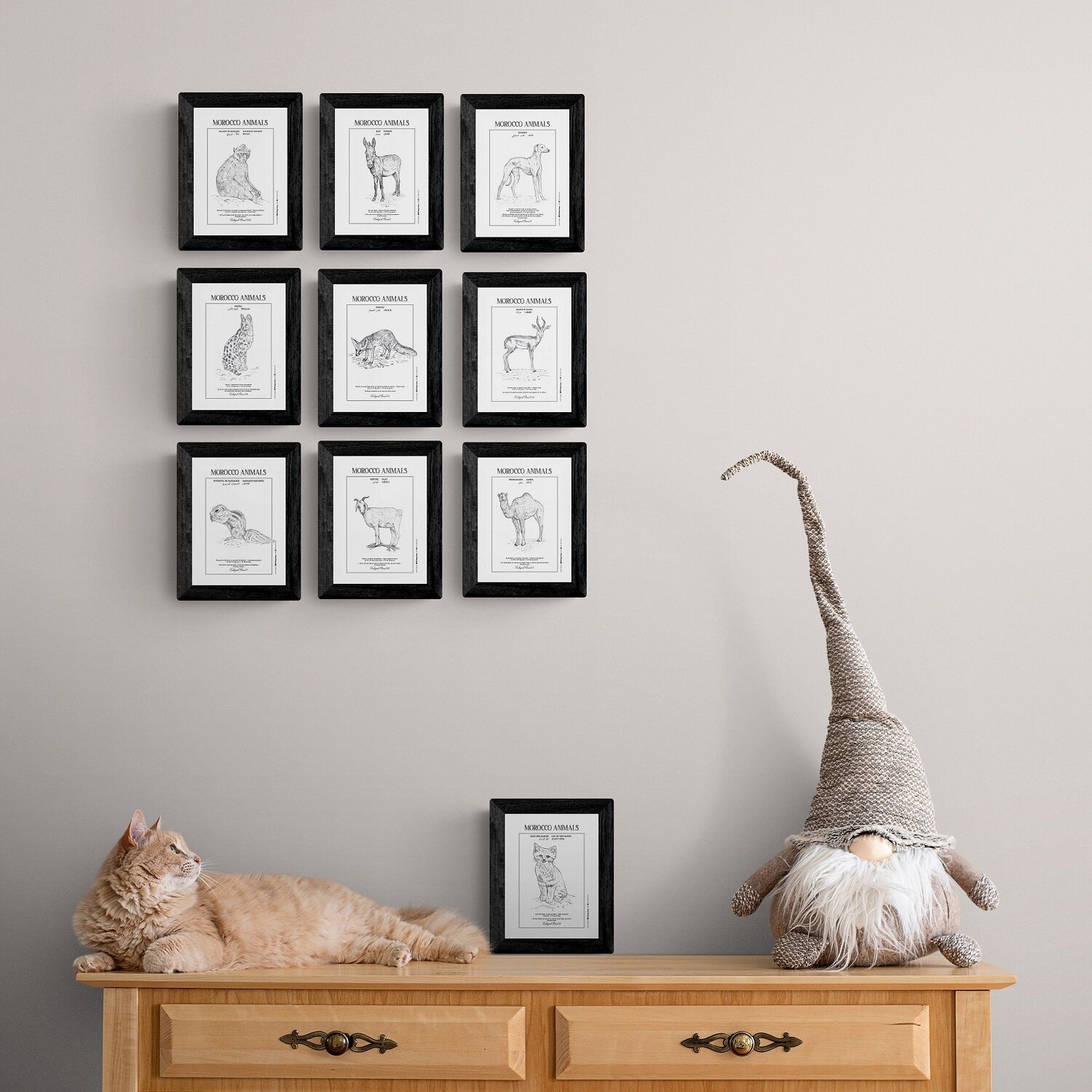 Lot de 10 cartes postales des planches zoologiques