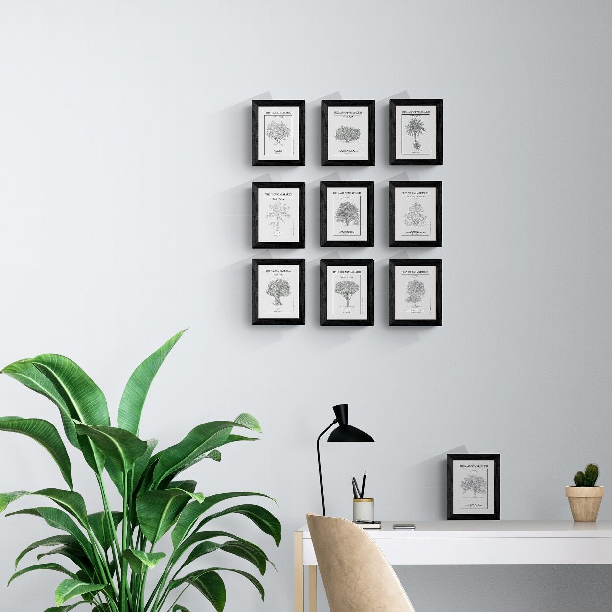 Lot de 10 cartes postales des planches botaniques thumbnail 3