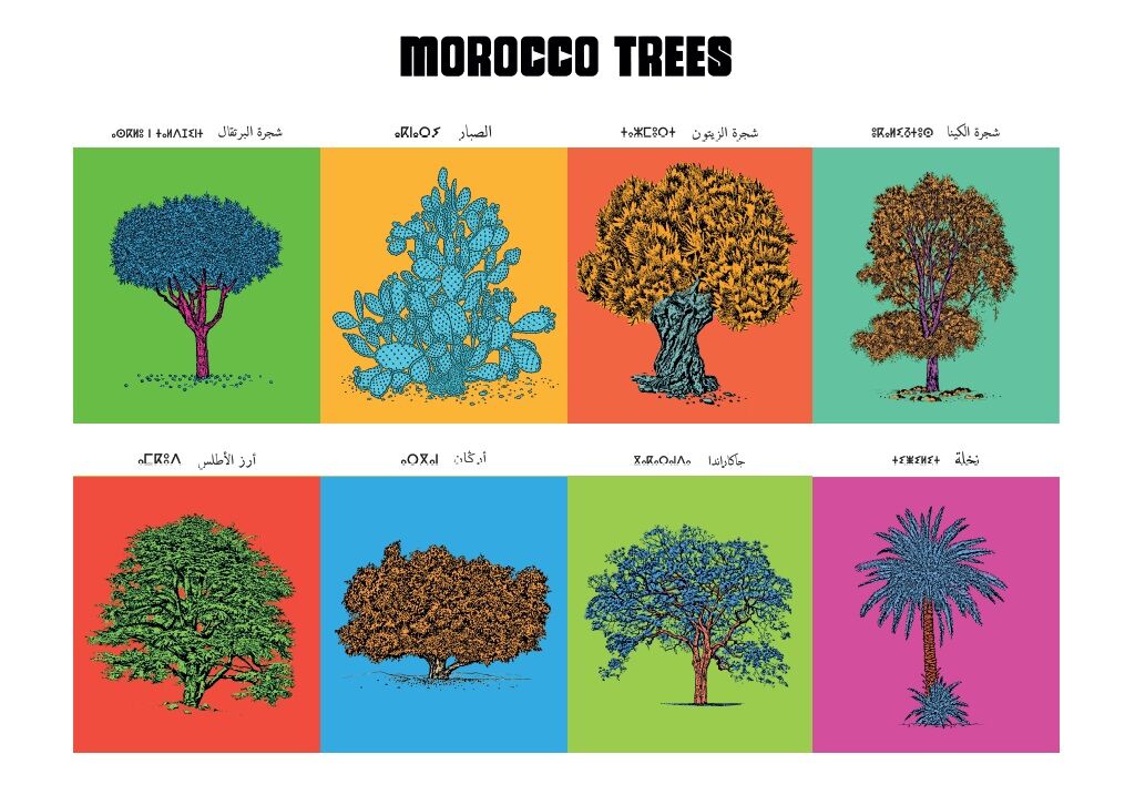 Affiche : planche botanique de 8 arbres du Maroc, version POP, collection Morocco Trees